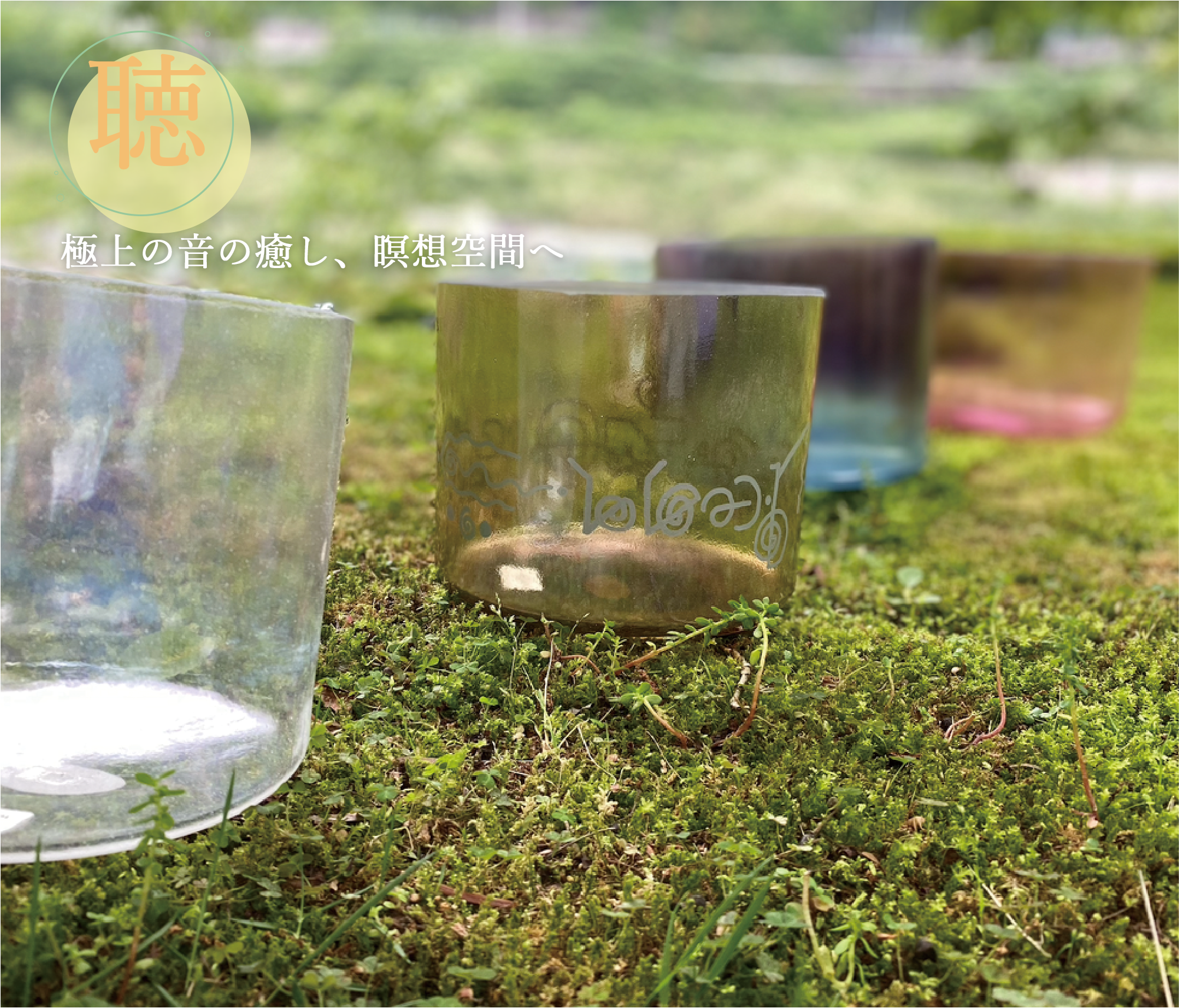 オリーブ