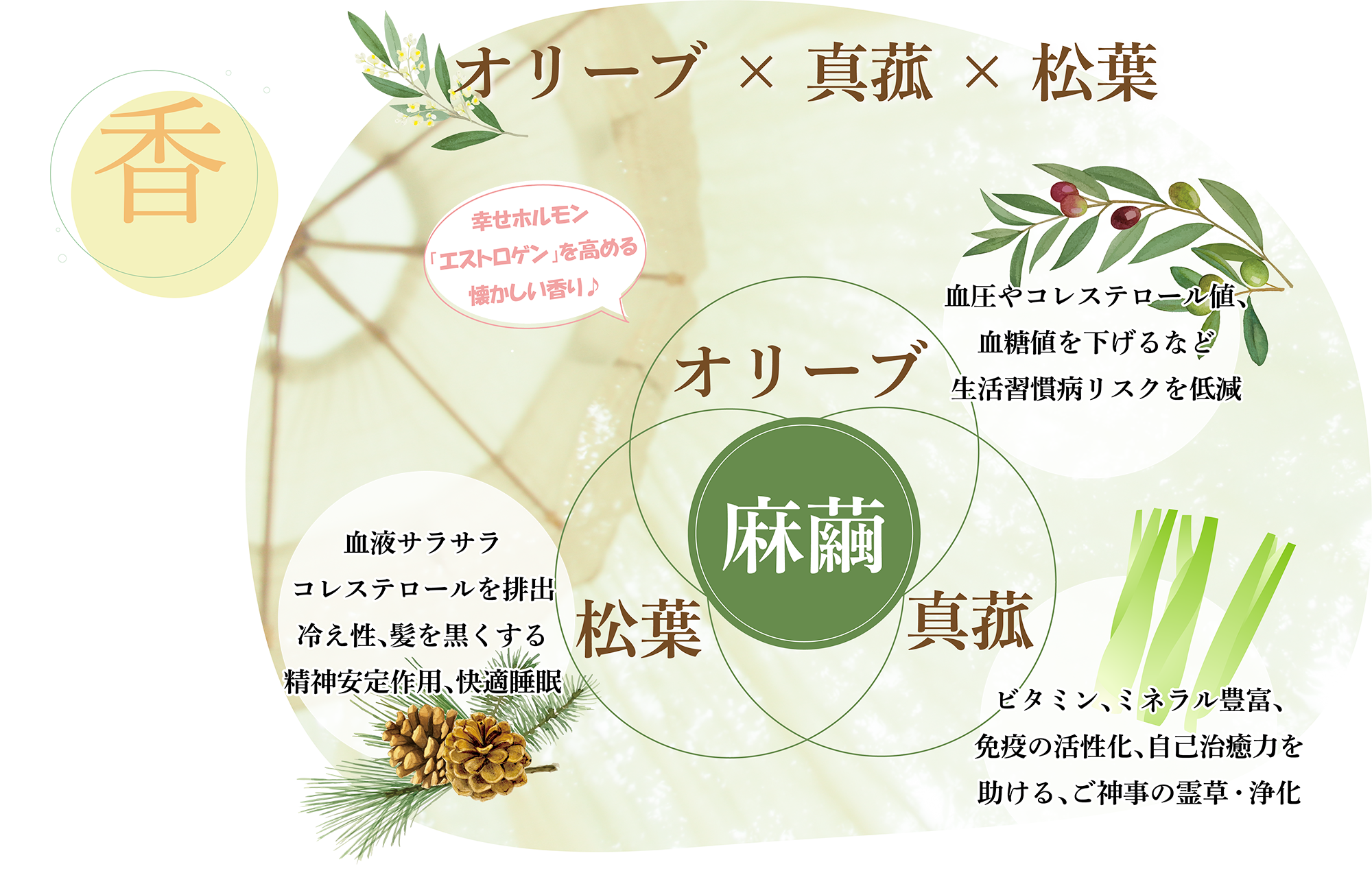 オリーブ